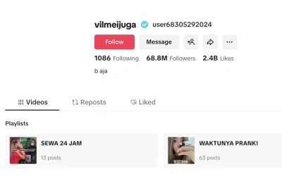 Akun TikTok Vilmei Kembali Bisa Diakses, Tapi Kok Jadi Aneh?
