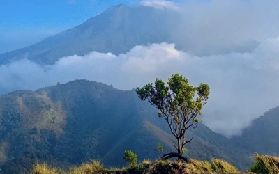 4 Fakta Menarik Bukit Mongkrang, Tempat Hilangnya Pendaki Yazid Ahmad Firdaus