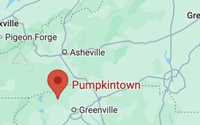 Bagaimana Cara Melamar Jadi Petugas Google Maps Jalan Kaki Gaji 3 Juta Sehari?