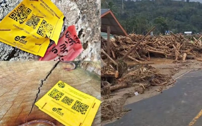 Viral Gelondongan Kayu Asal Sumbar Bertumpuk di Pantai Lampung Ditemukan Berstiker Kemenhut