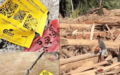 Biodata dan Profil Haji Bakhrial, Bos Minas Pagai Lumber yang Kayunya Terdampar di Sumatera