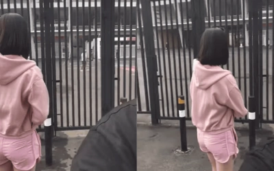 Siapa Artis di Balik Hoodie Pink? Hotman Paris Bikin Heboh Netizen Saat Lari Pagi di GBK