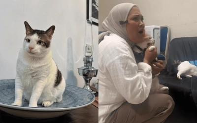 Detik-detik Bobby Kucing Prabowo Ditampar Pororo, Cici Chania Ketar-ketir!