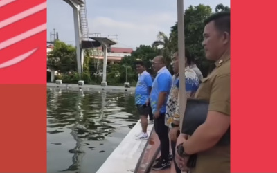 Miris! Atlet Latihan di Kolam Renang KONI Sario yang Berair Hijau Keruh