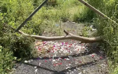 Merinding! Ini Postingan YA Pelaku Pembunuh Zein di Kampung Gajah Bandung