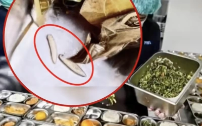 Ahli Gizi Bilang Ulat di Sayur MBG Bangkalan "Bisa Dimakan dan Berprotein", Warganet Syok