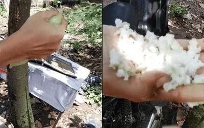 Geger Tekstur Lontong Aneh, Dituding Palsu Berisi Styrofoam!