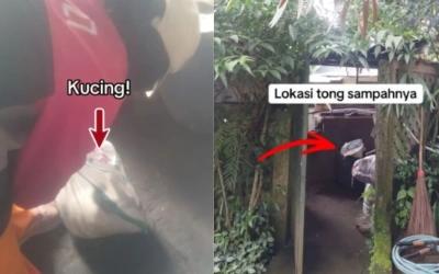 Viral Kafe di Bandung Buang Kucing Liar Hidup-Hidup dalam Karung