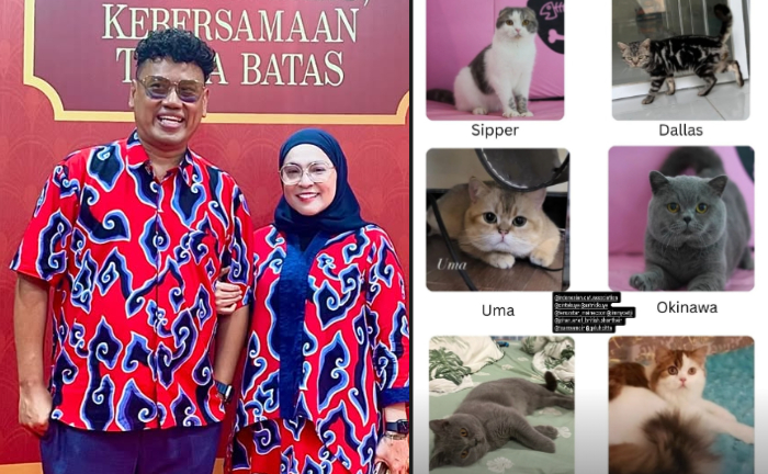 6 Kucing Uya Kuya Masih Hilang Usai Penjarahan, sang Anggota DPR: Tolong!