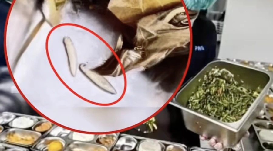 Ahli Gizi Bilang Ulat di Sayur MBG Bangkalan "Bisa Dimakan dan Berprotein", Warganet Syok