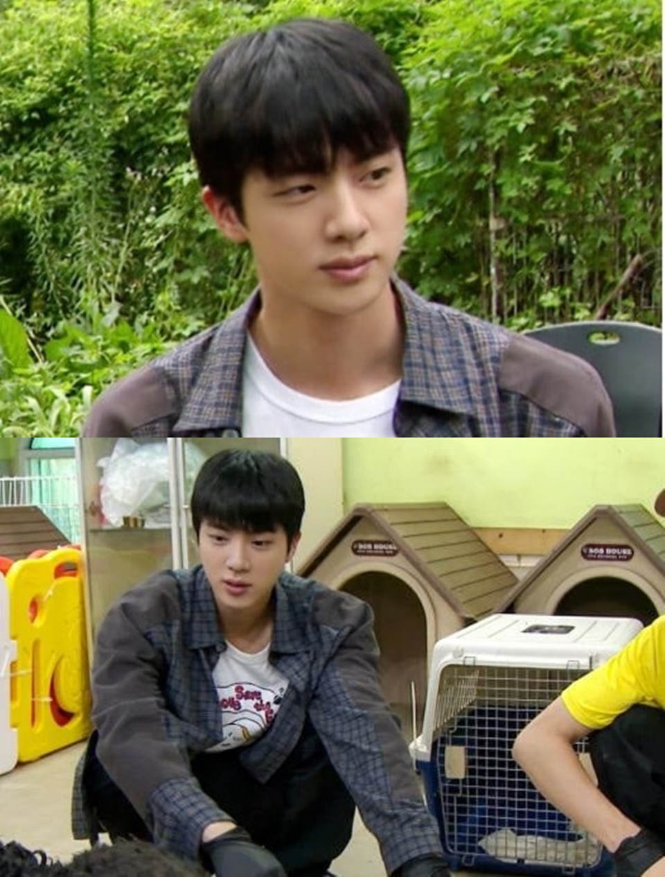 Punya Alergi, Jin BTS Ikut Jadi Volunteer di Shelter Anjing