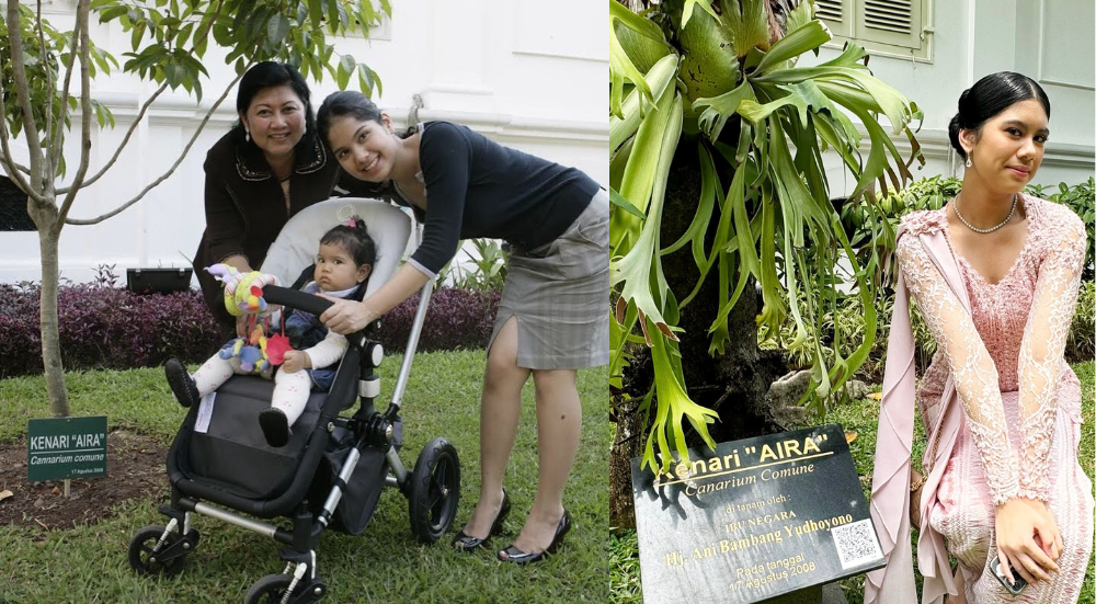 Almira Anak AHY Terharu Sambangi Pohon Ditanam Ani Yudhoyono Rayakan Kelahirannya