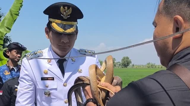 Lucky Hakim Buru-buru Lepas Ribuan Ular untuk Basmi Hama Tikus, Bikin Petani Resah?