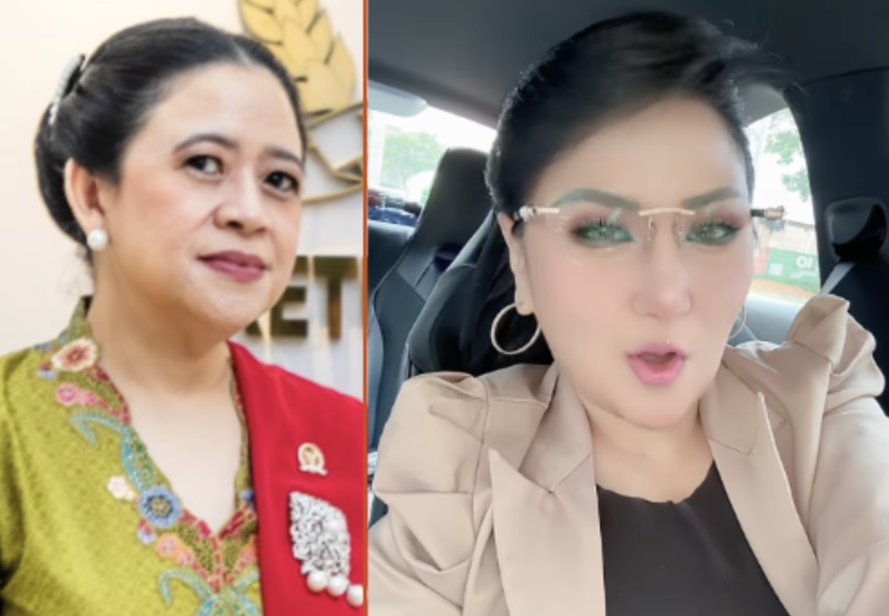 Psikolog Lita Gading Sebut Puan Maharani Pesta Miras Bareng Ibu-Ibu Konglomerat: Ada Pesta Miras Nih!