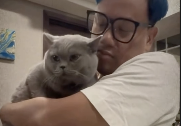 Mellownya Uya Kuya, Kucing Kesayangannya Ini Belum Kembali Usai Digondol Penjarah