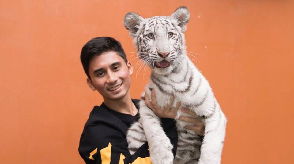 Alshad Ahmad Pura-Pura Pingsan, Respon Selen Si Harimau Putih Peliharaan Bikin Deg-Degan
