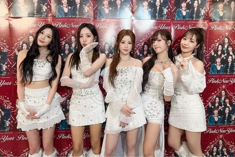 Apink Members Soompi