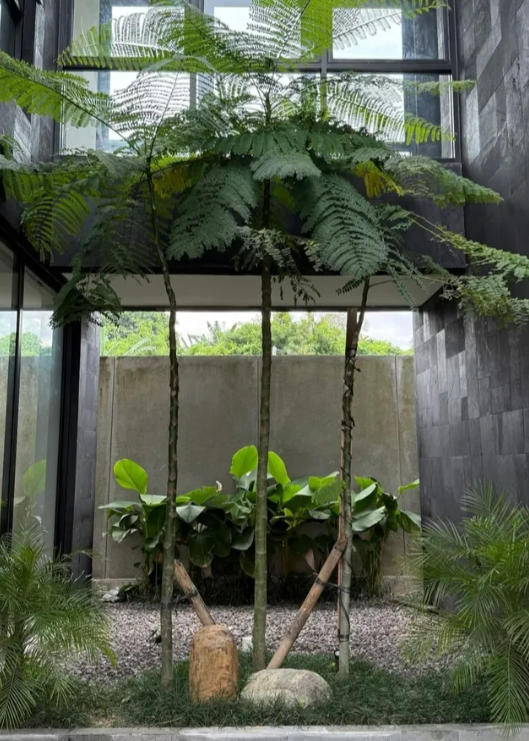 Area Sejuk Rumah Jennifer Coppen [Instagram]
