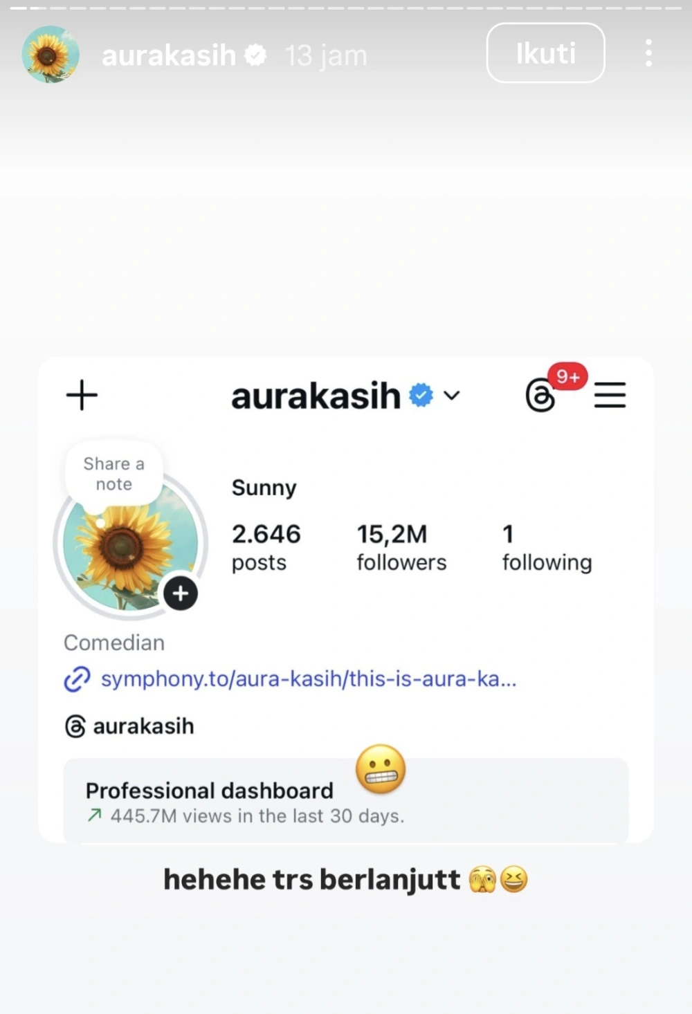 Bio Ig Aura Kasih Yang Buka Program Promosi Untuk Umkm [Instagram]