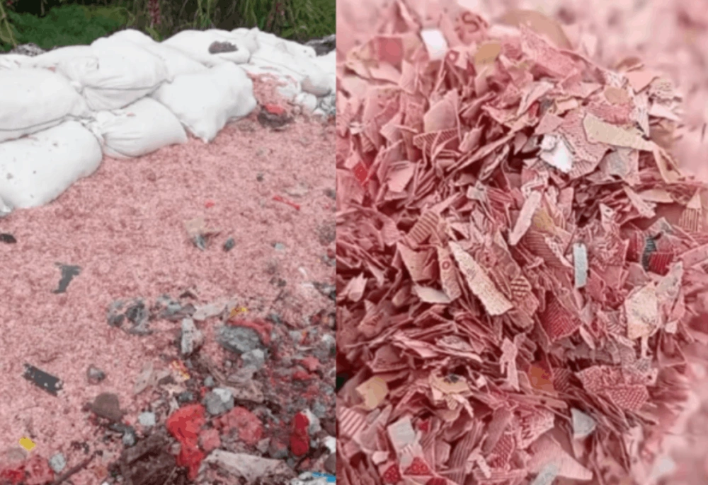 Cacahan uang Rp100 ribu dan Rp50 ribu ditemukan di TPS liar di Bekasi. [TikTok]