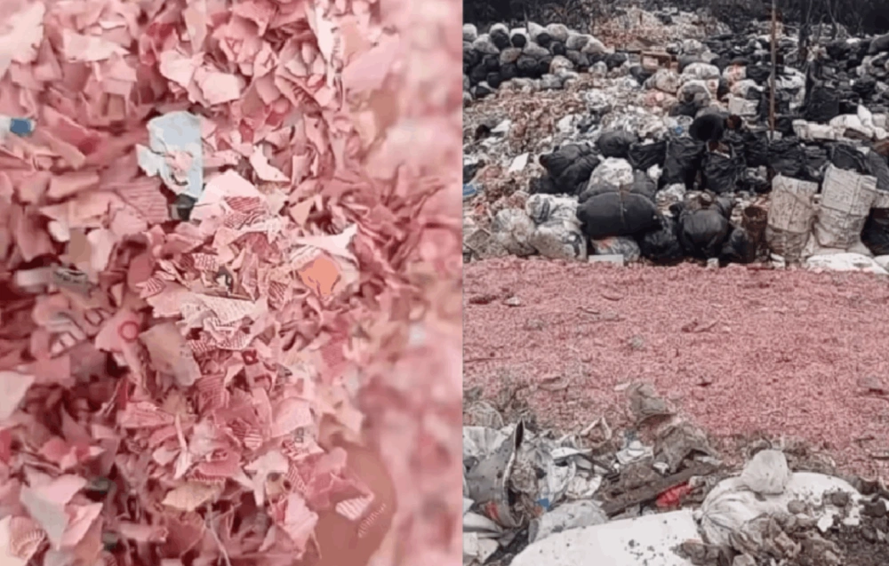 Cacahan uang Rp100 ribu dan Rp50 ribu ditemukan di TPS liar di Bekasi. [TikTok]