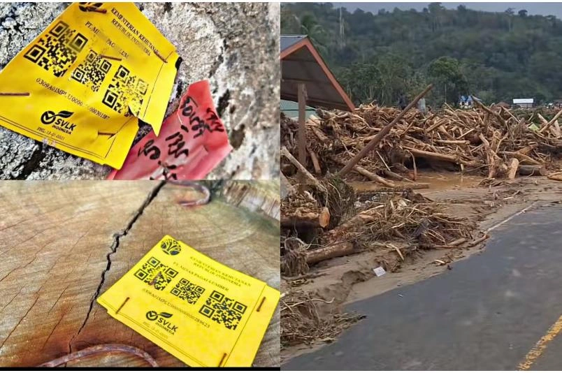 Gelondongan Kayu Yang Ada Stiker Label Kemenhut Tiktok