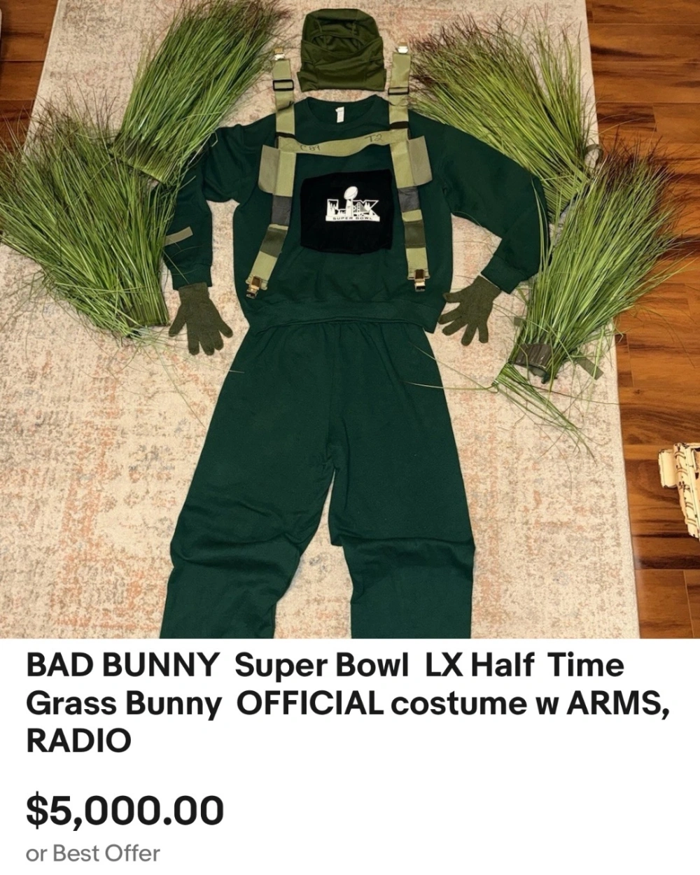 Grass Bunny Bad Bunny [e-Bay]
