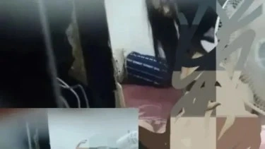 Ibu Kos Di Halmahera Rudapaksa Anak Kos [Tiktok]