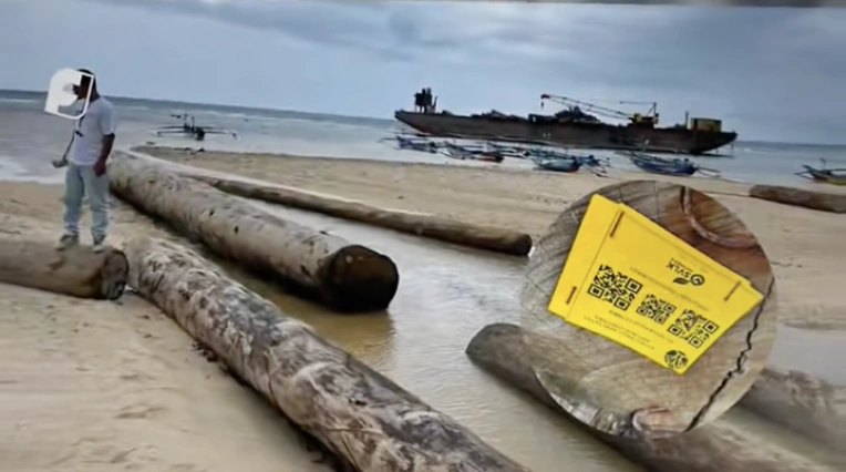 Kayu gelondongan berstiker PT Minas Pagai Lumber milik H Bakhrial. [TikTok]