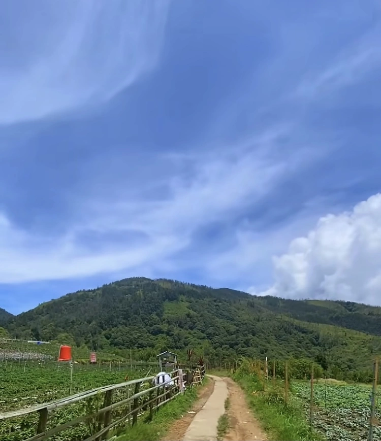 Keindahan Bukit Mongkrang [Instagram]