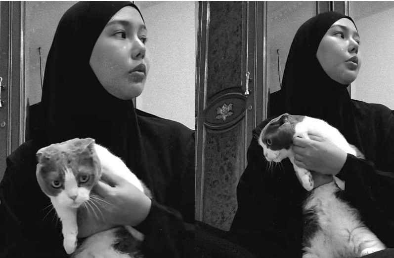 Kucing Lula Lahfah Mikasa Berada Di Kediaman Dara Arafah Tiktok