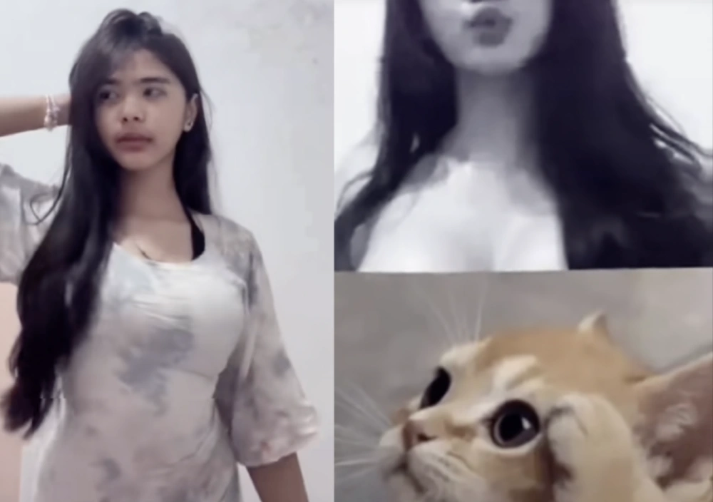 Link Tataror viral di TikTok. [TikTik]