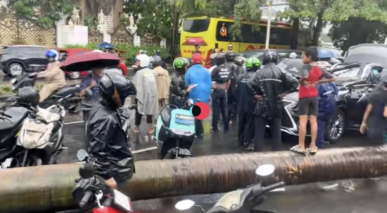 Mobil Lexus Di Pondok Indah Tertimpa Pohon. [TikTok/petualangadv]