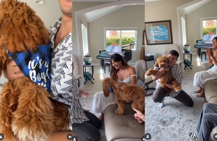 Momen Gender Reveal Aurelie Moeremans Dan Tyler Bigenho Instagram