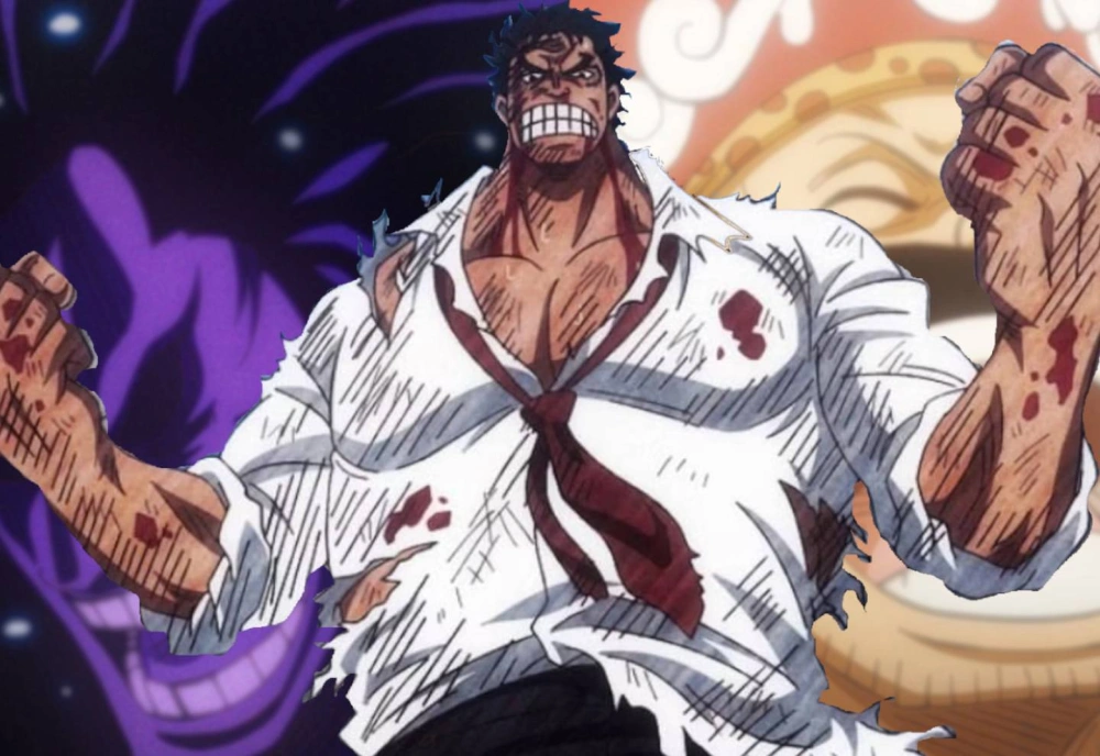 One Piece 1165 [Pinterest]