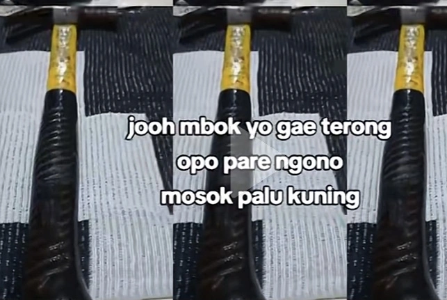 Palu Kuning [Tiktok]