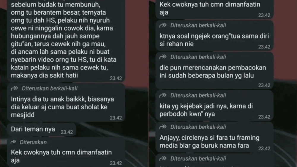 Pesan Kesaksian Dari Salah Satu Akun [Sumber: Tiktok]