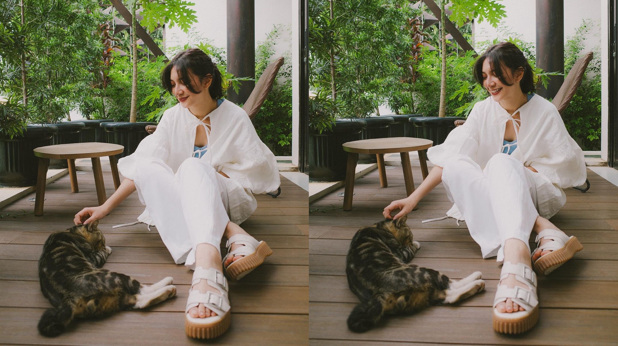 Baik Banget! Sheila Dara Tampung 52 Kucing Jalanan di Rumahnya