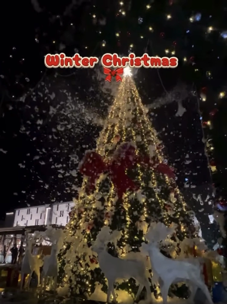 Snow Show Winter Christmas Pik 2