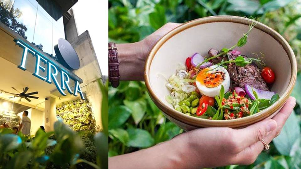 Terra Eats, Restoran Sehat Dengan Rasa Enak di Senopati