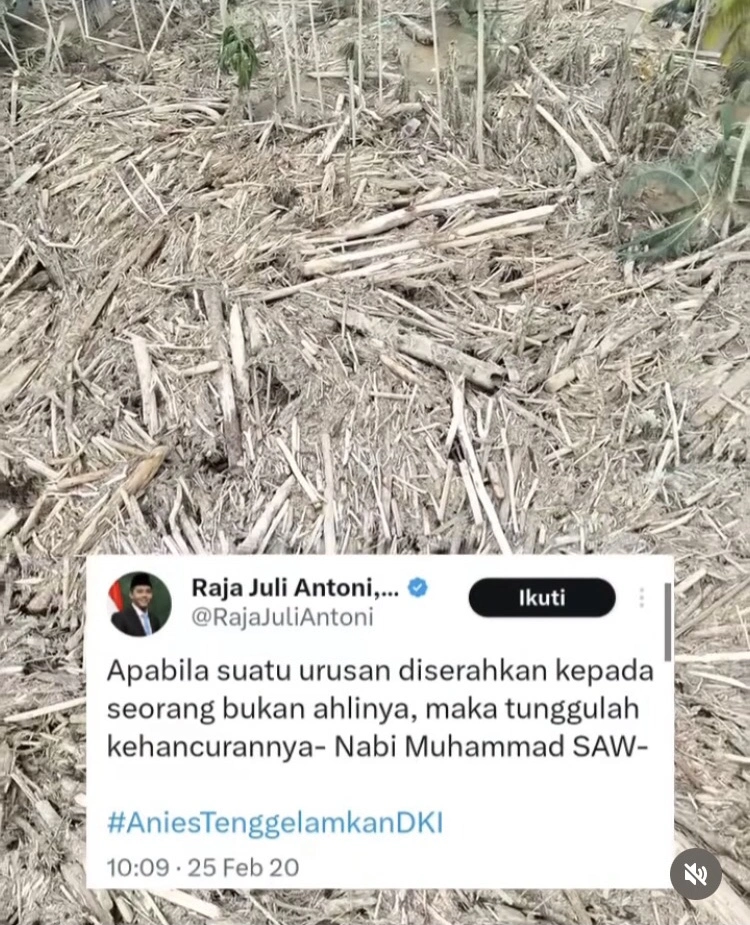 Tweet Raja Juli Antoni 2020