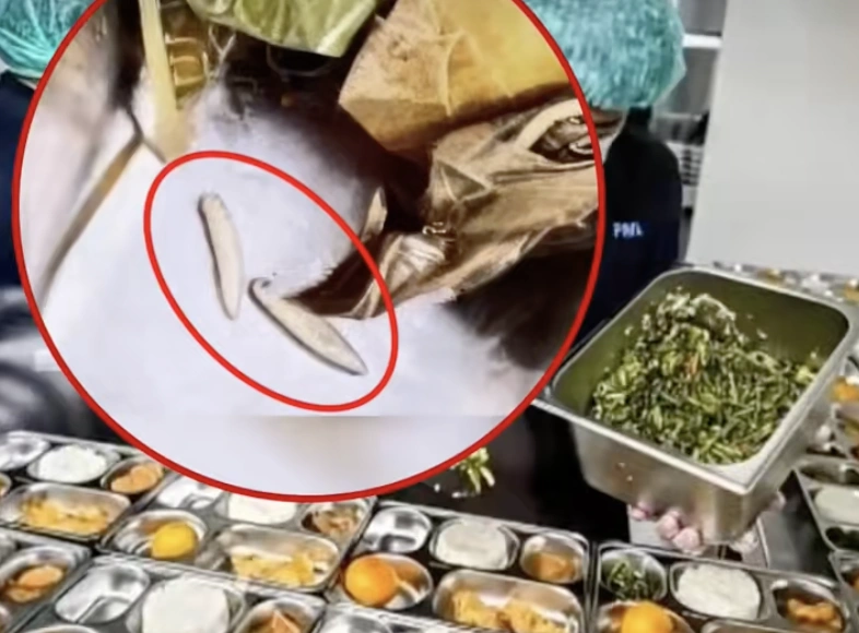 Ulat Pada Sayur Daun Singkong MBG.  [TikTok]