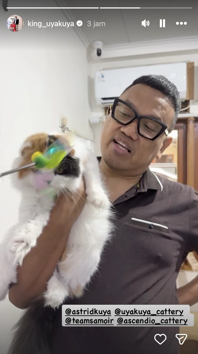 Uya Kuya Pamer Kucingnya Soda. [Instagram]