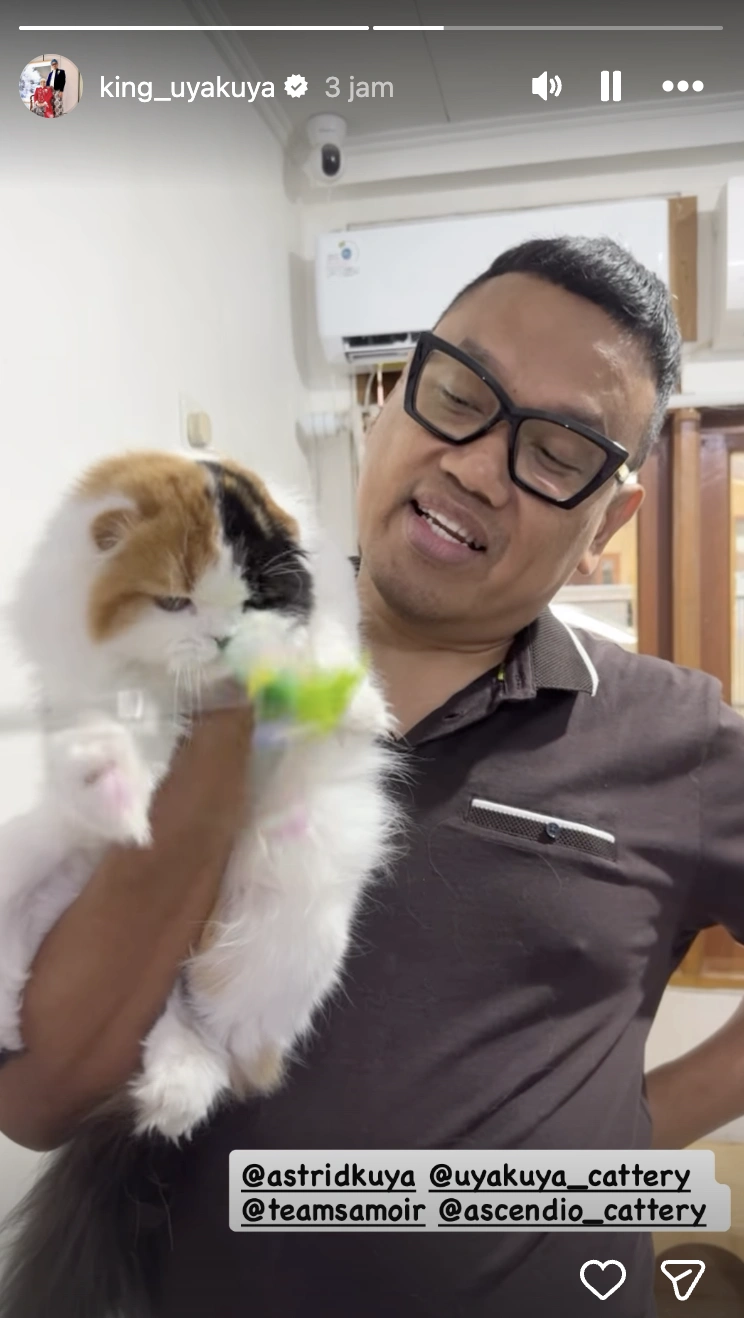 Uya Kuya Pamer Kucingnya Soda. [Instagram]