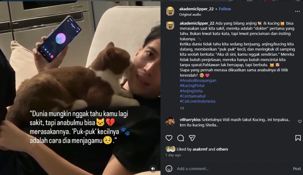 Vidi Aldiano Dijilat Kucing Sheila Dara [Sumber: Instagram]