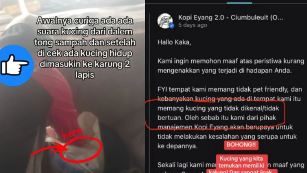 Viral kafe dibandung buang kucing. [instagram]