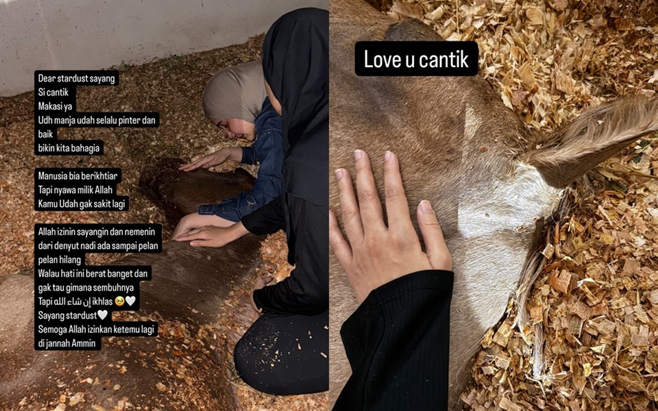 Zaskia Sungkar dan Shireen Sungkar Kehilangan Kuda Kesayangan [Instagram]