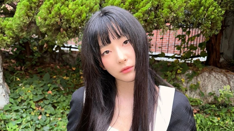 Seulgi Red Velvet Dapat Permintaan Tak Pantas [Instagram]