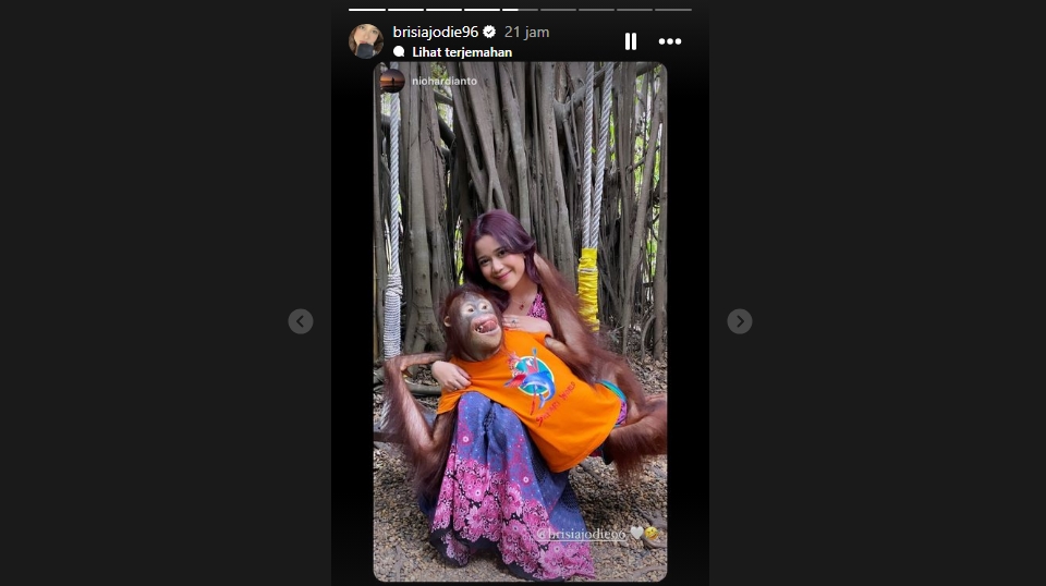 Dada Brisia Jodie Dipegang Orang Utan