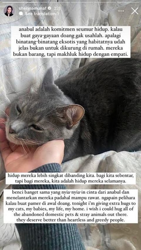 Sherina Munaf soal Anabul [Instagram Story]
